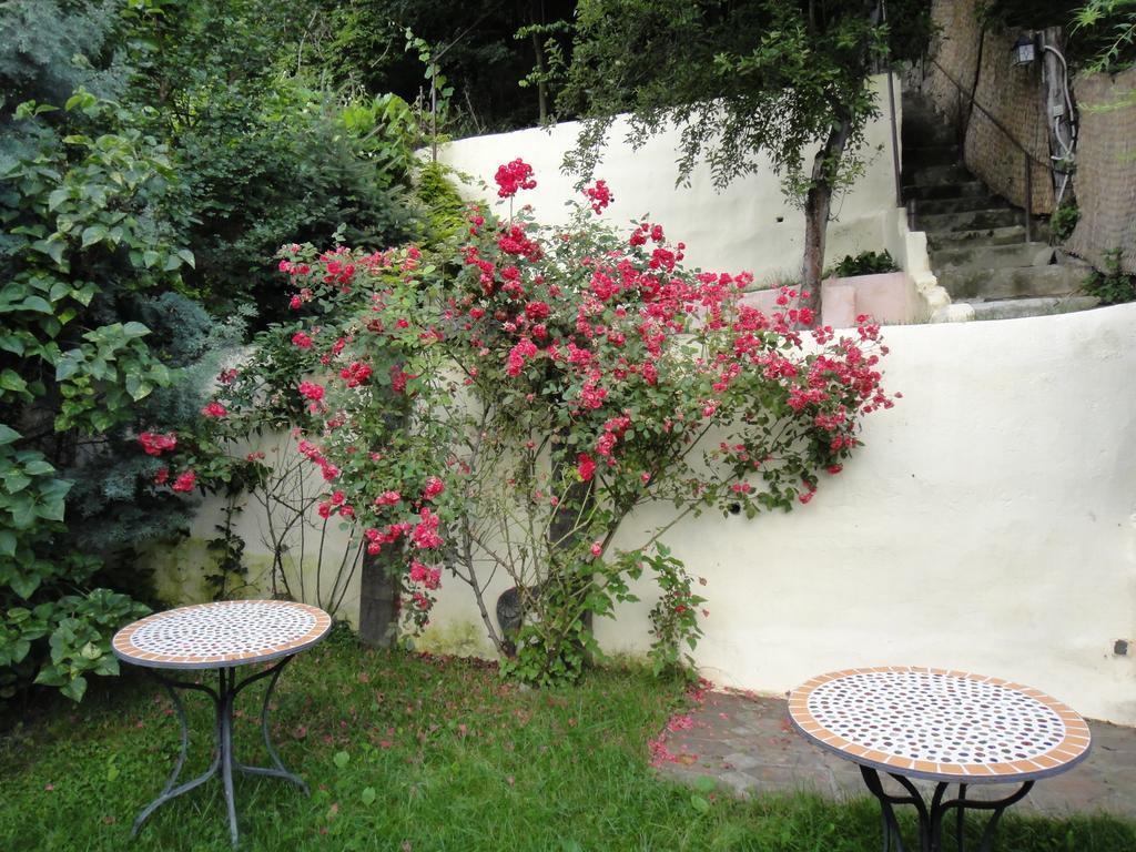 Dominic Boutique Sighişoara Quarto foto